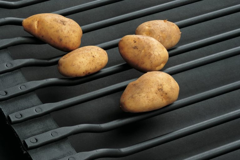 Förderband mit gekröpften Stäben und fünf Kartoffeln